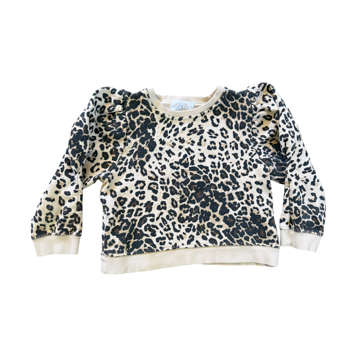 Zara Leopard Print Sweatshirt
